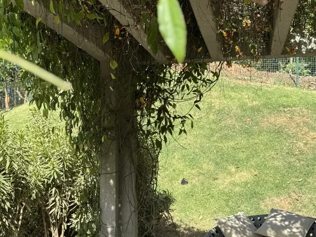 Imagem 13: Venda de Apartamento de 2 Quartos com Suíte e 2 Vagas em Joinville-SC, Costa e Silva