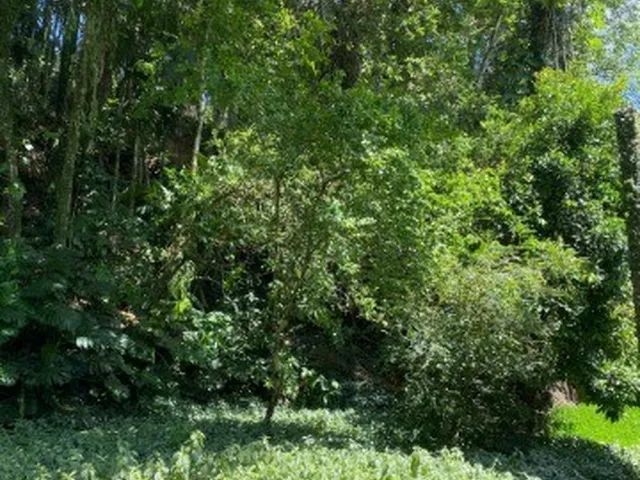 Imagem 5: APARTAMENTO - JOINVILLE