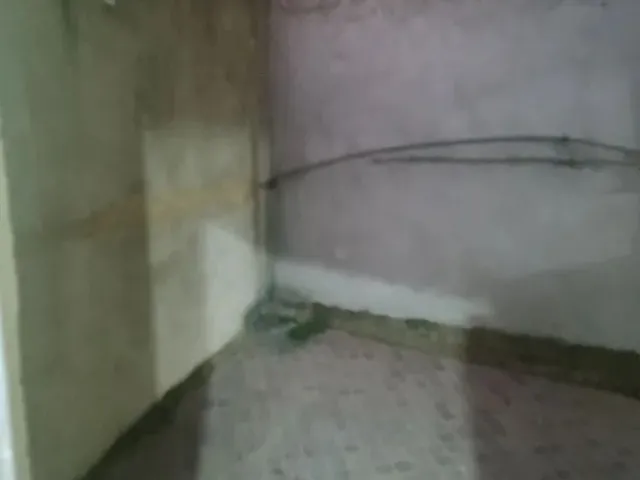 Imagem 4: Casa Casa com 2 dormitórios