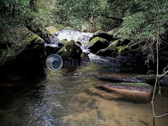 Imagem: Sítio de 3,00 hectares à venda em Itamonte-MG