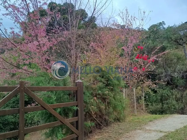 Imagem 5: Sítio de 3,00 hectares à venda em Itamonte-MG, no bairro Serra Negra: confira essa