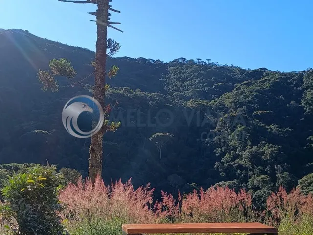 Imagem 11: Sítio de 3,00 hectares à venda em Itamonte-MG, no bairro Serra Negra: confira essa