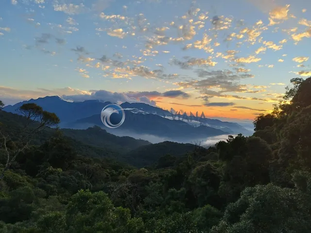 Imagem 16: Sítio de 3,00 hectares à venda em Itamonte-MG, no bairro Serra Negra: confira essa