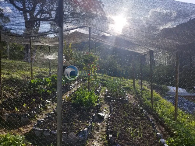 Imagem 3: Sítio de 3,00 hectares à venda em Itamonte-MG, no bairro Serra Negra: confira essa