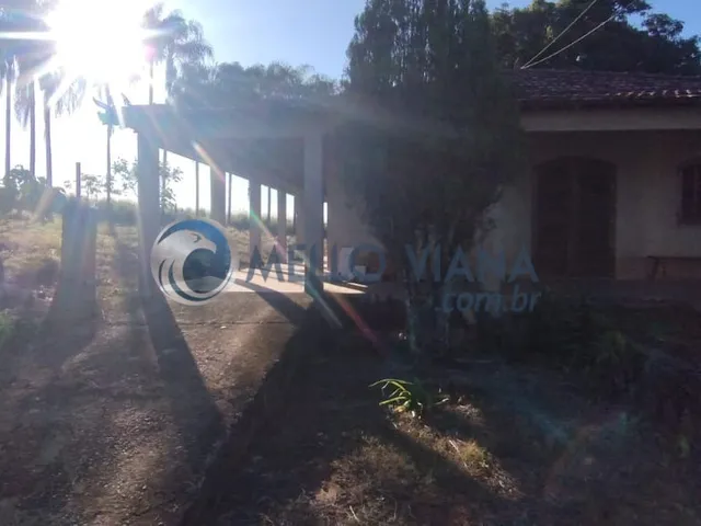 Imagem: Fazenda comercial de 35 hectares à venda
