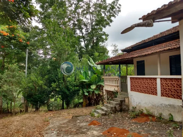 Imagem 9: CHÁCARA , CRISTINA MG, LOCAL TRANQUILO E MUITO ESPAÇO