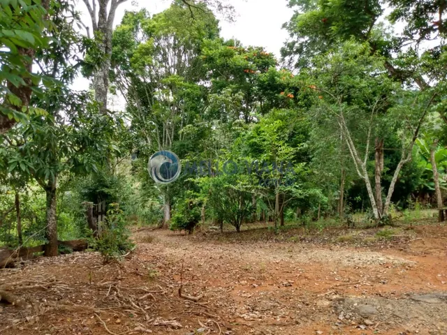Imagem 7: CHÁCARA , CRISTINA MG, LOCAL TRANQUILO E MUITO ESPAÇO