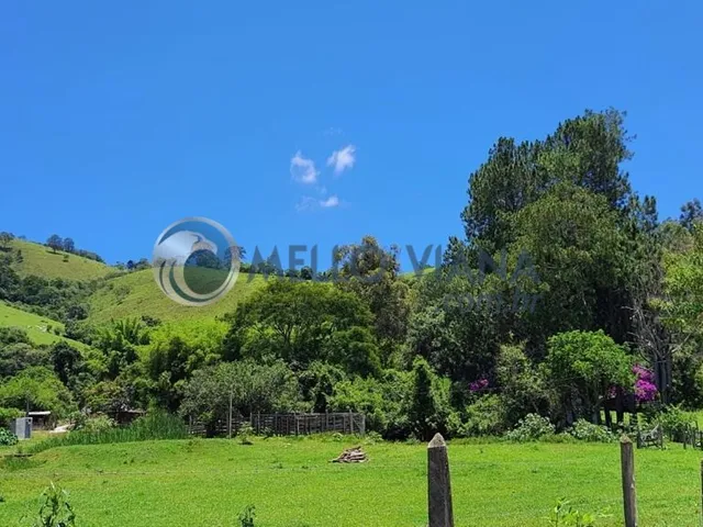 Imagem 3: Chácara de luxo com 4 quartos e 4 vagas de garagem à venda em São Lourenço-MG!