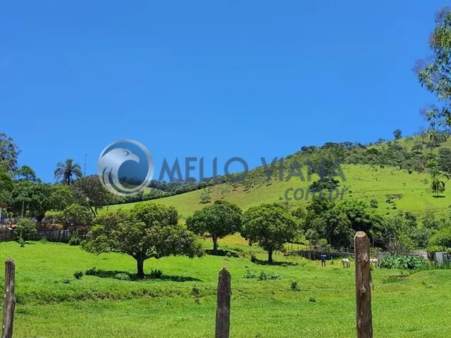Imagem 12: Chácara de luxo com 4 quartos e 4 vagas de garagem à venda em São Lourenço-MG!