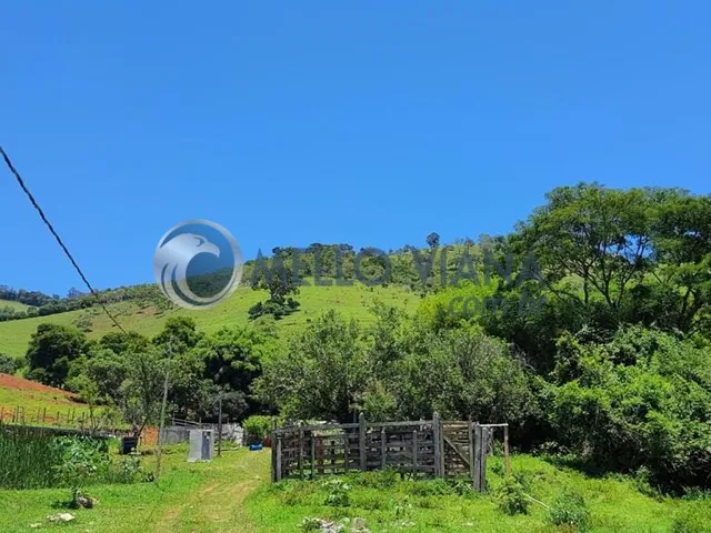 Imagem 4: Chácara de luxo com 4 quartos e 4 vagas de garagem à venda em São Lourenço-MG!
