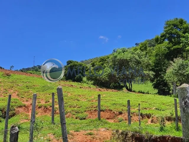 Imagem 16: Chácara de luxo com 4 quartos e 4 vagas de garagem à venda em São Lourenço-MG!