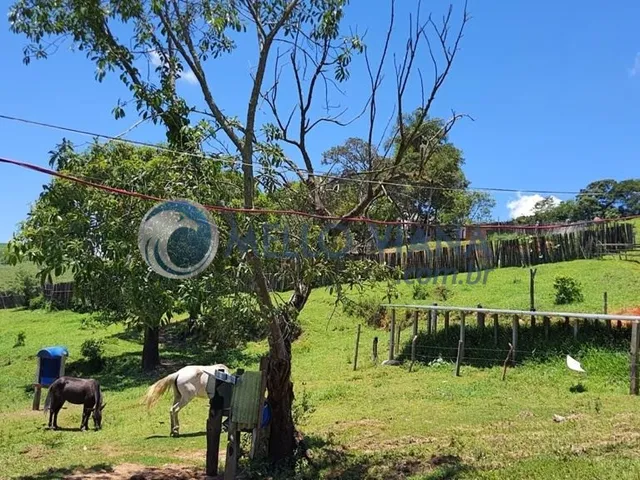 Imagem 2: Chácara de luxo com 4 quartos e 4 vagas de garagem à venda em São Lourenço-MG!