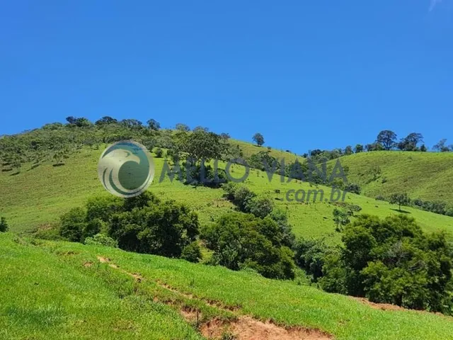 Imagem 13: Chácara de luxo com 4 quartos e 4 vagas de garagem à venda em São Lourenço-MG!