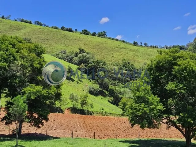 Imagem 7: Chácara de luxo com 4 quartos e 4 vagas de garagem à venda em São Lourenço-MG!