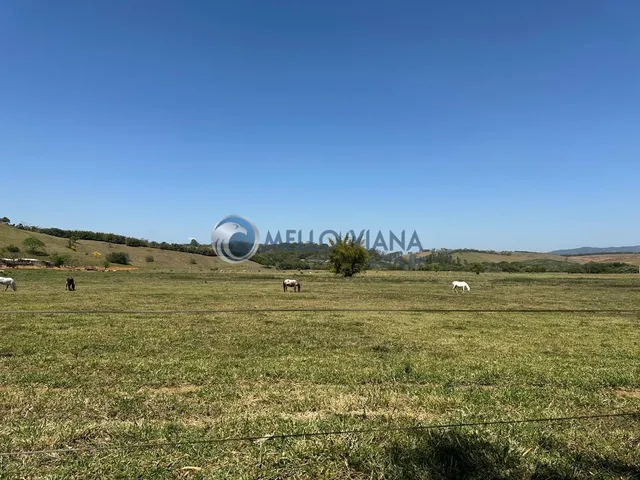 Imagem 12: Fazenda de 1953 Hec para gado