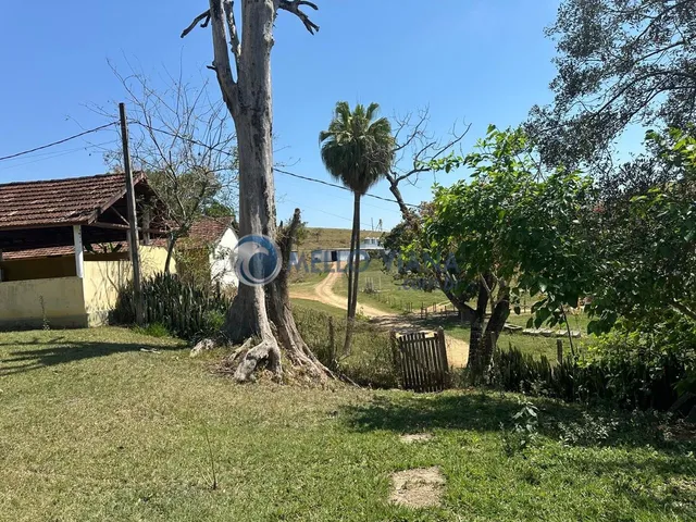 Imagem 9: Fazenda de 1953 Hec para gado