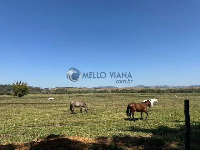 Imagem 5: Fazenda de 1953 Hec para gado