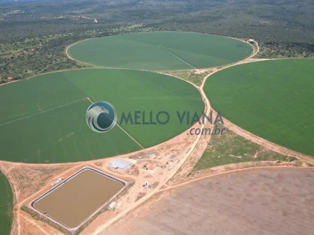 Imagem: FAZENDA 2152 HECTARES AS MARGENS DO RIO