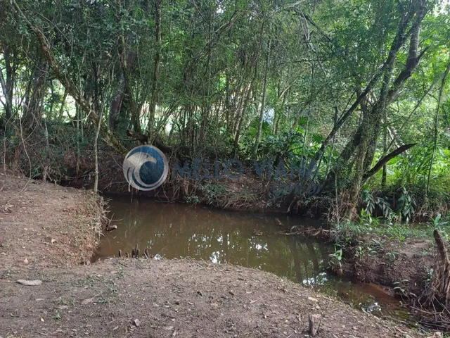 Imagem 5: Casa de Luxo à Venda em Soledade de Minas-MG, 5 Quartos, 2 Suítes, 2 Salas, 6