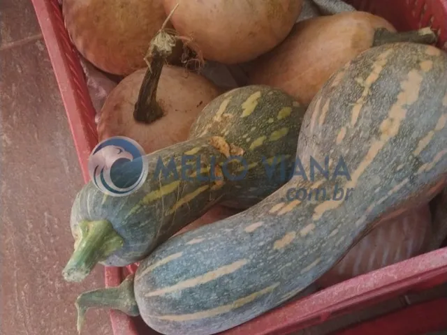 Imagem 15: Chácara de Luxo em Lambari-MG: 4 Quartos, 2 Suítes, 150m², Próximo ao Pesqueiro do