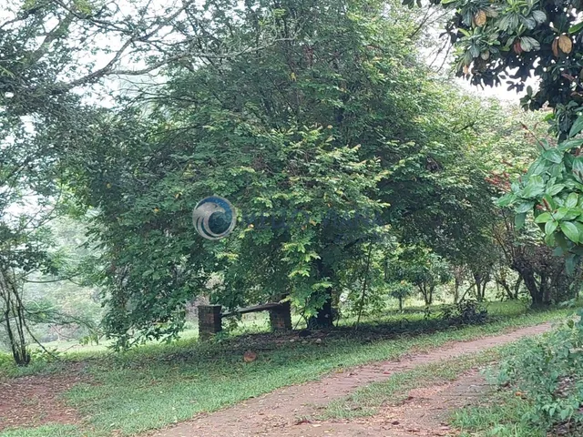 Imagem 8: Chácara de Luxo em Lambari-MG: 4 Quartos, 2 Suítes, 150m², Próximo ao Pesqueiro do