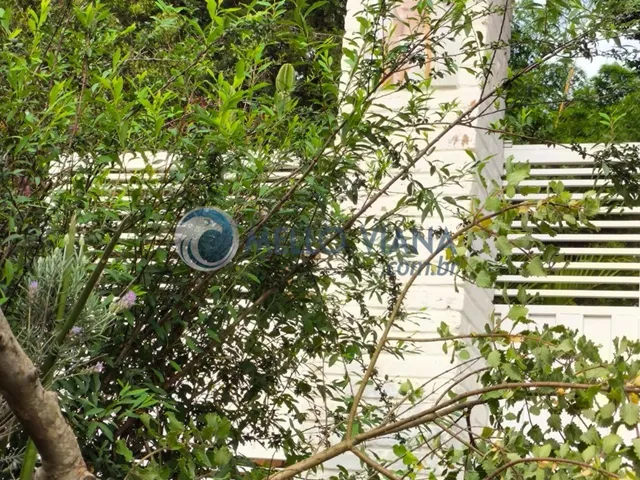 Imagem 9: Chácara de Luxo em Lambari-MG: 4 Quartos, 2 Suítes, 150m², Próximo ao Pesqueiro do
