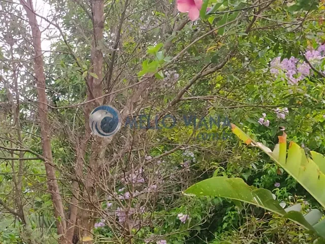 Imagem 7: Chácara de Luxo em Lambari-MG: 4 Quartos, 2 Suítes, 150m², Próximo ao Pesqueiro do