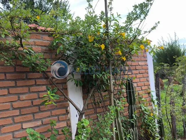 Imagem 3: Chácara de Luxo em Lambari-MG: 4 Quartos, 2 Suítes, 150m², Próximo ao Pesqueiro do