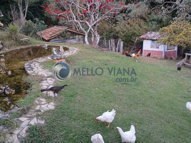 Imagem 14: Sítio à venda em Baependi-MG: 3 quartos, 1 sala, 2 banheiros e 15 hectares de área
