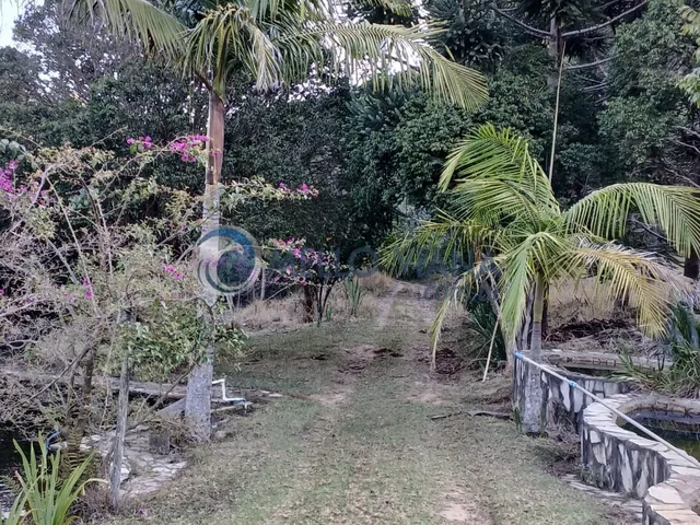 Imagem 5: Sítio à venda em Baependi-MG: 3 quartos, 1 sala, 2 banheiros e 15 hectares de área