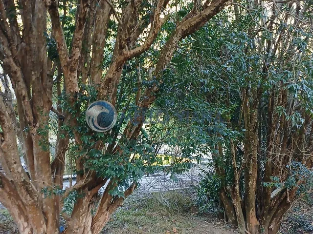 Imagem 12: Sítio à venda em Baependi-MG: 3 quartos, 1 sala, 2 banheiros e 15 hectares de área