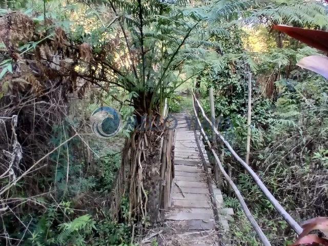 Imagem 10: Sítio à venda em Baependi-MG: 3 quartos, 1 sala, 2 banheiros e 15 hectares de área