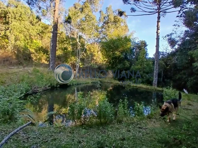 Imagem 6: Sítio à venda em Baependi-MG: 3 quartos, 1 sala, 2 banheiros e 15 hectares de área