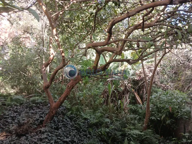 Imagem 3: Imperdível casa à venda em São Lourenço-MG, bairro Serra Azul: 2 quartos, 2 suítes