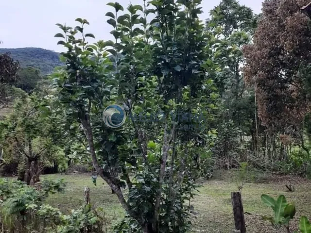 Imagem 14: Chácara Fazenda / sítio com 2 dormitórios