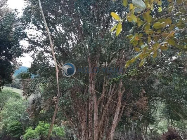Imagem 12: Chácara Fazenda / sítio com 2 dormitórios