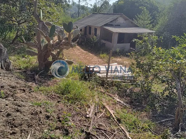 Imagem 10: Fazenda com 239 hec (Plantio de eucalipto