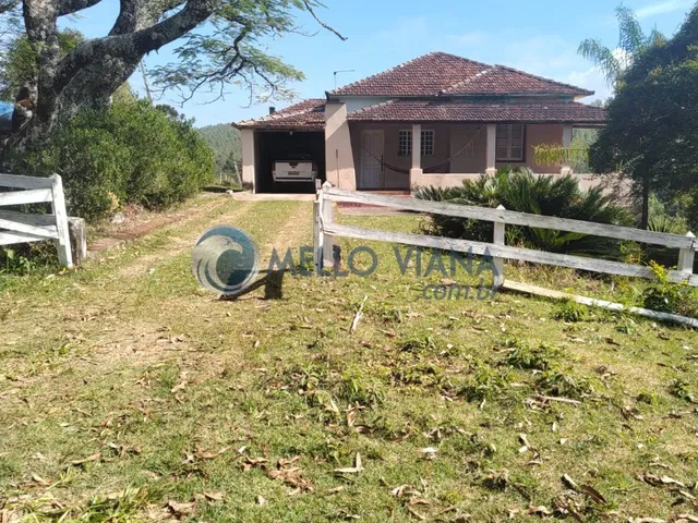 Imagem 13: Fazenda com 239 hec (Plantio de eucalipto