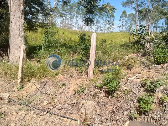 Imagem 12: Fazenda com 239 hec (Plantio de eucalipto