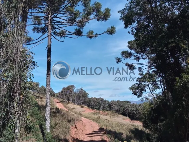 Imagem: Área rural em Baependi MG com 20.000 m²