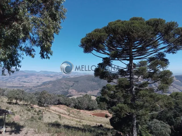 Imagem 3: Área rural em Baependi MG com 20.000 m² para criação de peixes e outras culturas a