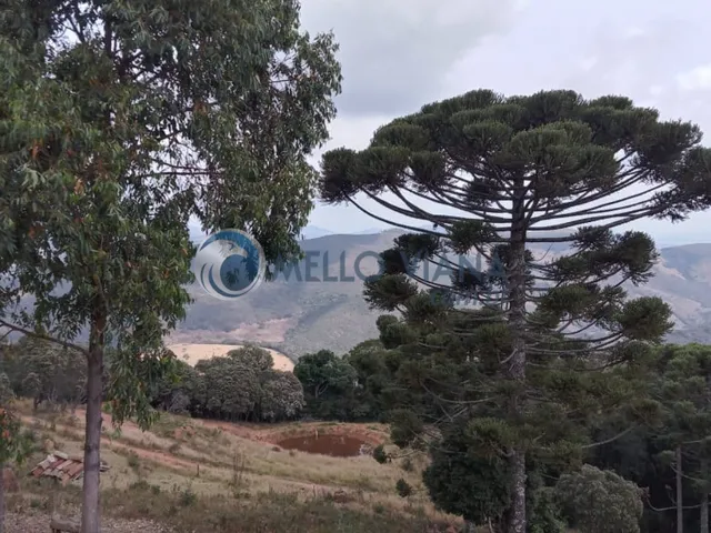Imagem 2: Área rural em Baependi MG com 20.000 m² para criação de peixes e outras culturas a