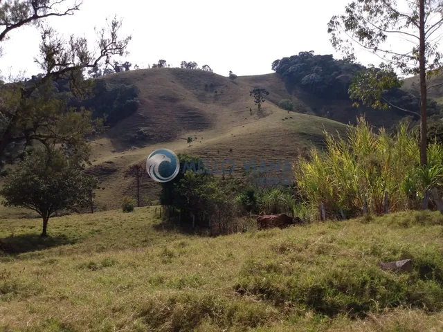 Imagem: Área rural em boa proximidade da area (
