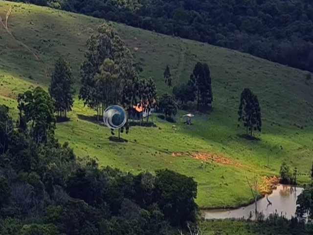 Imagem: Fazenda 240 hectares