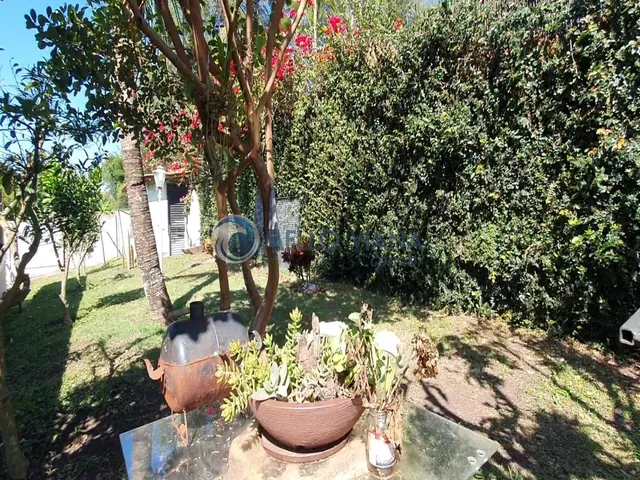 Imagem 6: Casa de campo em Caxambu MG com 2 quartos e pomar com muita fruta
