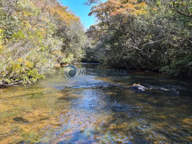 Imagem 5: Sitio na região da Gamarra - Baependi - MG