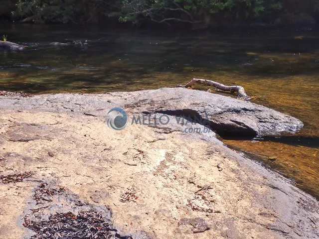 Imagem 11: Sitio na região da Gamarra - Baependi - MG