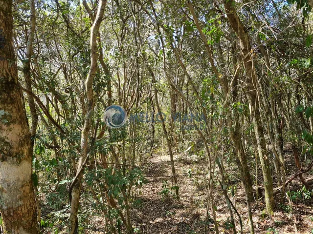 Imagem 3: Sitio na região da Gamarra - Baependi - MG