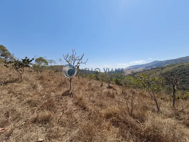 Imagem 15: Sitio na região da Gamarra - Baependi - MG