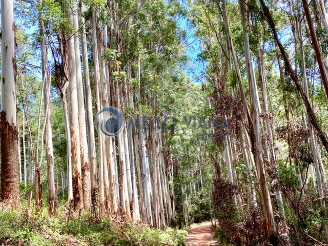 Imagem 14: Localizada no município de Aiuruoca, interior de Minas Gerais, à 150 km de Varginha